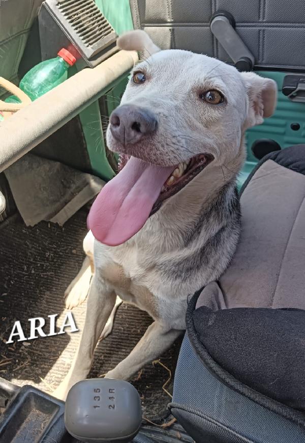 UNA MAMMA PER ARIA Foto 2