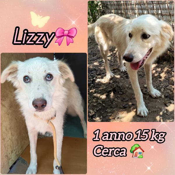 Una Mamma Per Lizzy