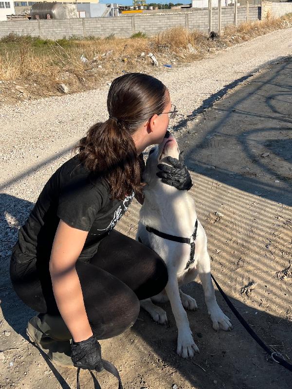 CHUCK – Cucciolo buono e socievole Foto 2