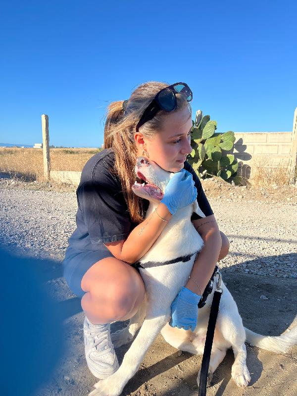 CHUCK – Cucciolo buono e socievole Foto 6