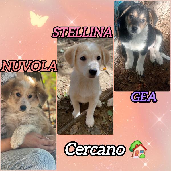 Sorelline Cercano Casa