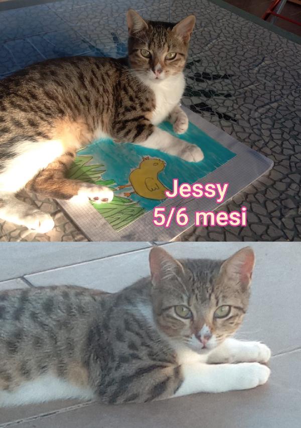 TELEFONA X UN MICETTO Foto 11