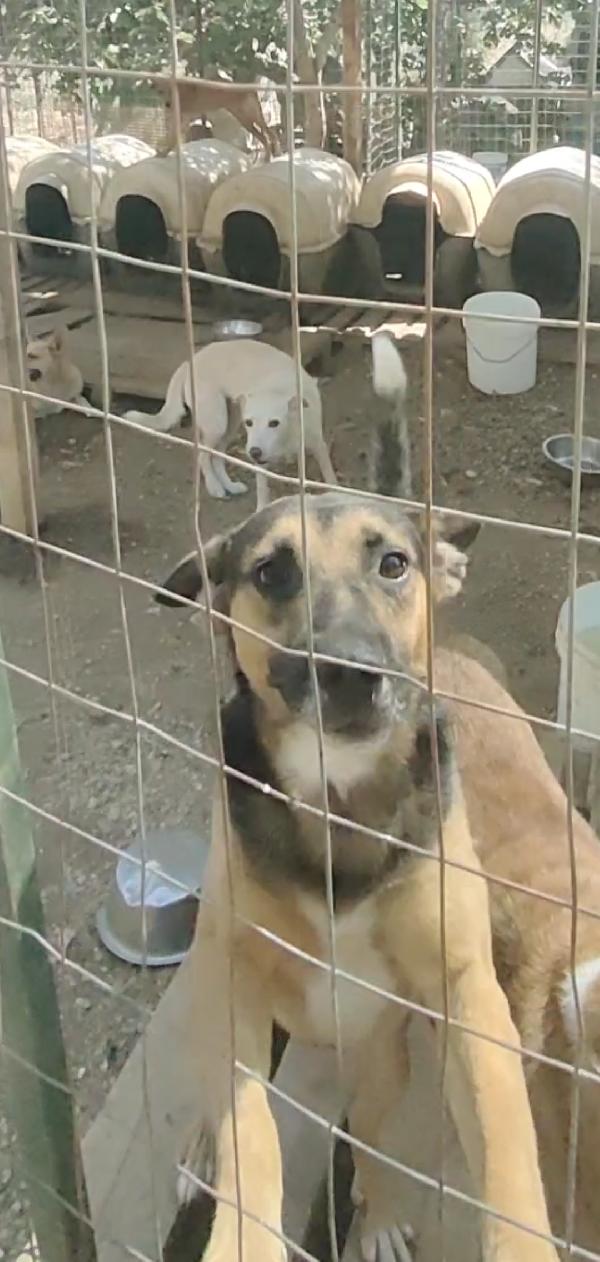 Goku 💙 un piccolo invisibile  Foto 3