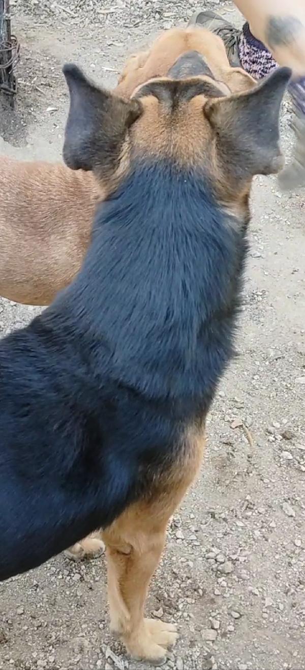 Goku 💙 un piccolo invisibile  Foto 4