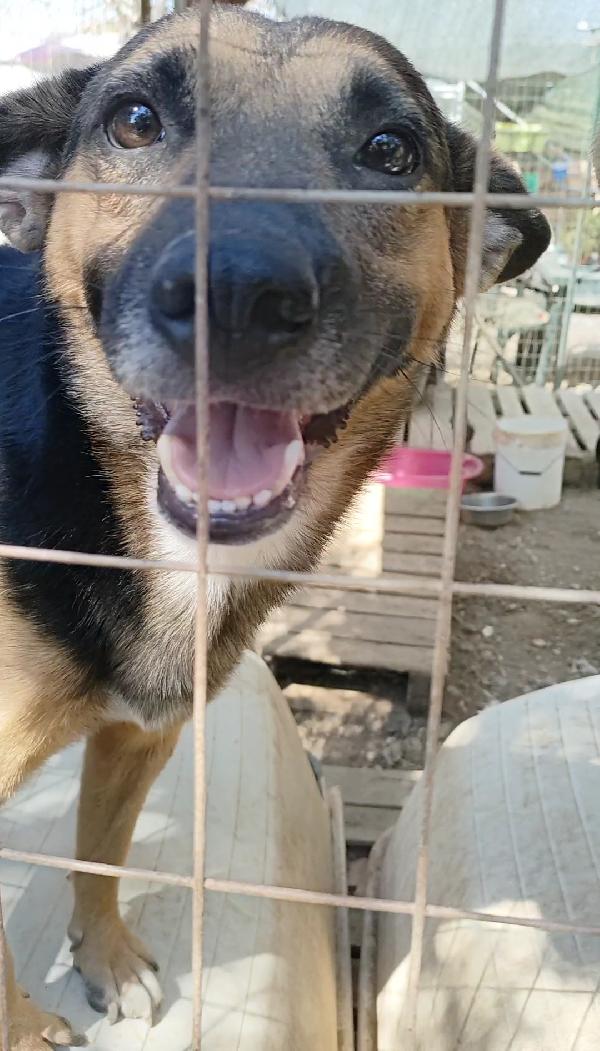 Goku 💙 un piccolo invisibile  Foto 5