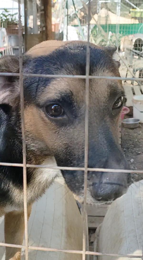 Goku 💙 un piccolo invisibile  Foto 6