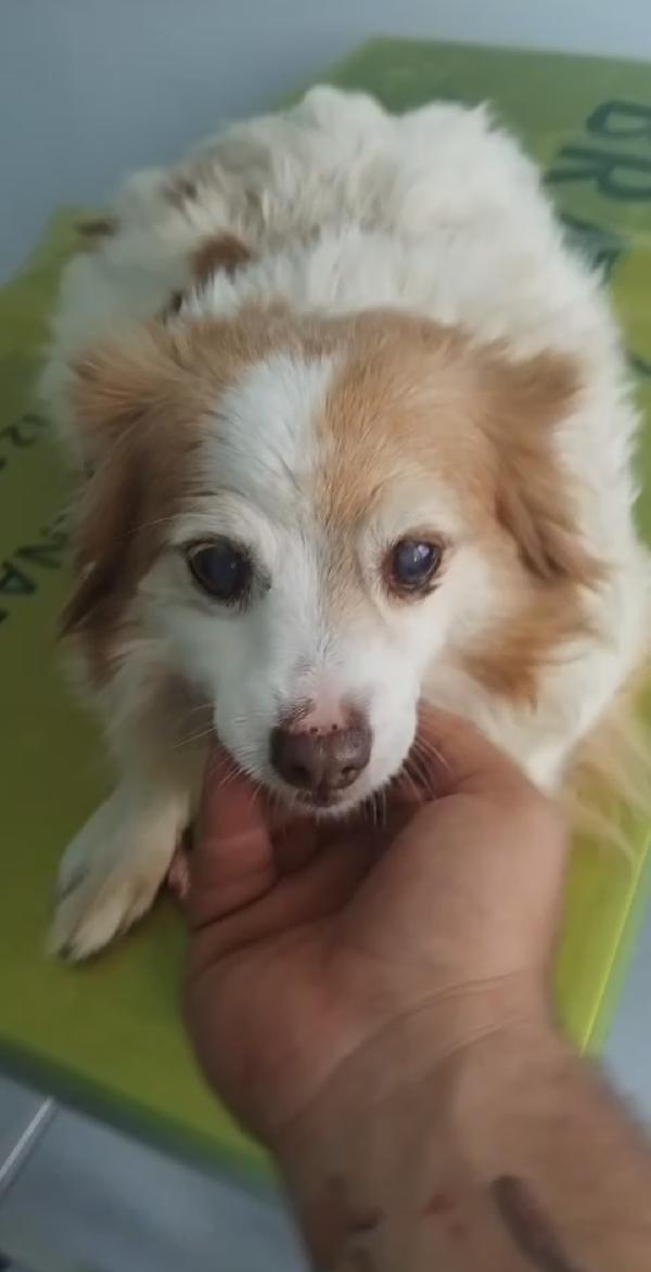Nanà 💗 Taglia Piccola 