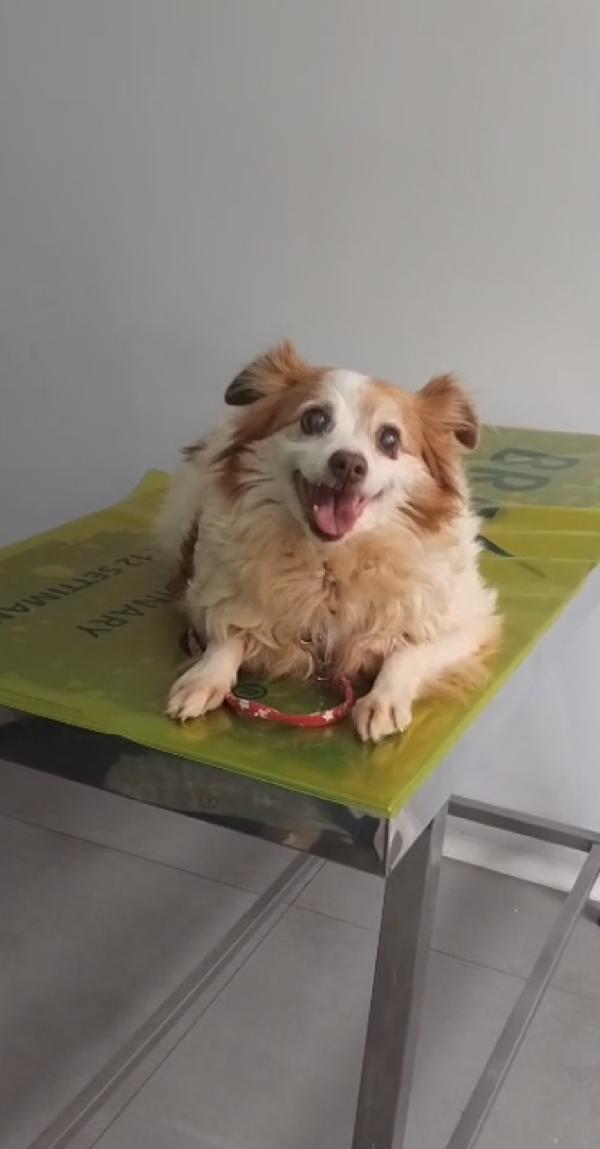 Nanà 💗 taglia piccola  Foto 2