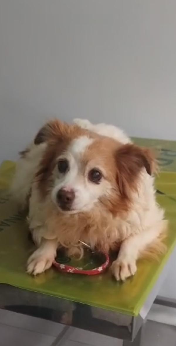 Nanà 💗 taglia piccola  Foto 3