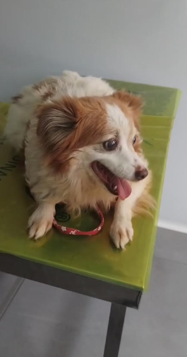 Nanà 💗 taglia piccola  Foto 4