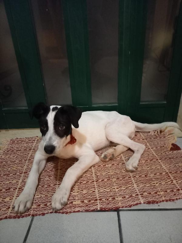 Kevin cerca CASA  Foto 2