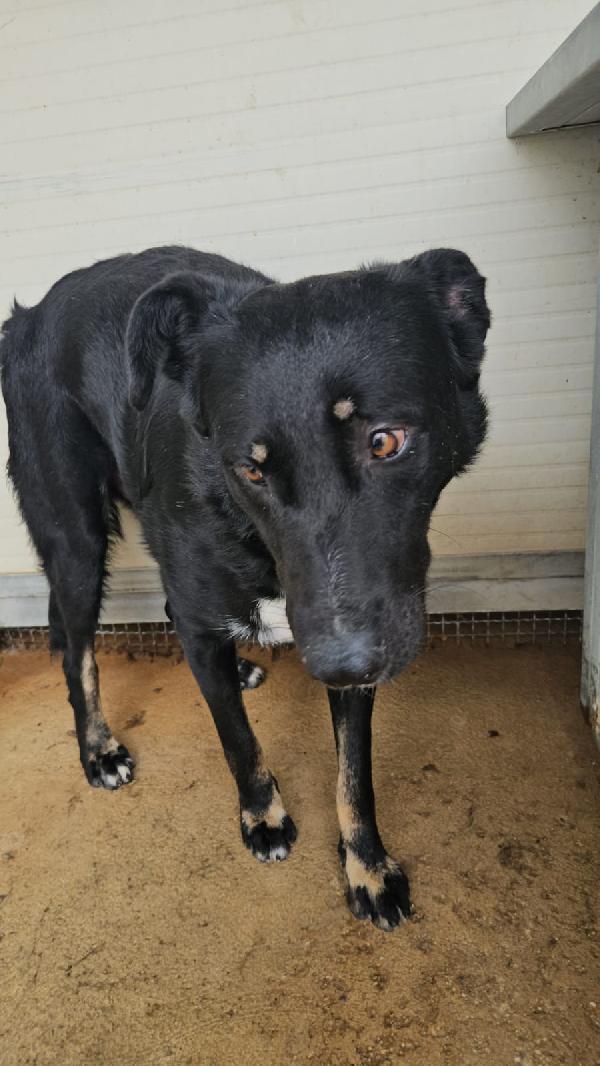 Carlo: timido, dolce, socievole, riservato  Foto 12