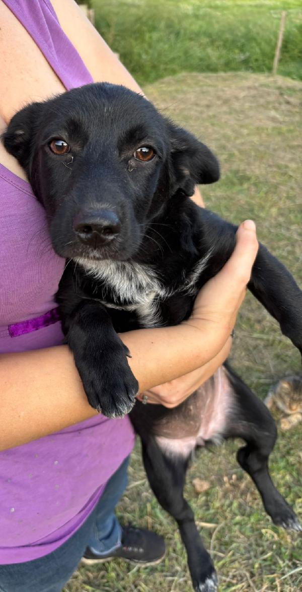 Taglia piccola π Foto 3