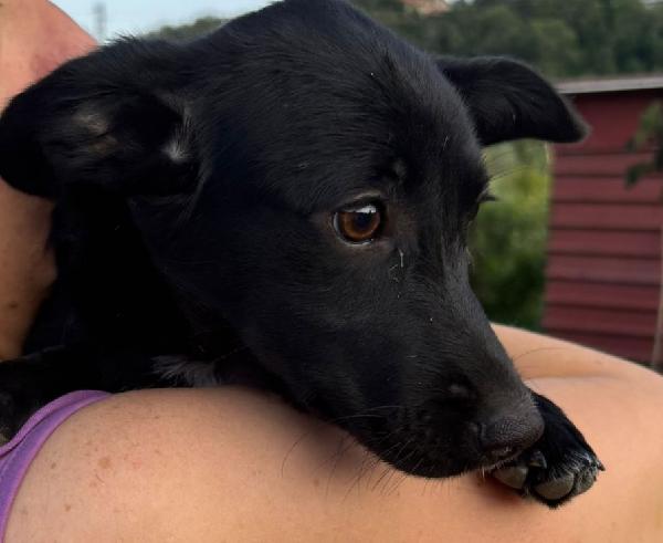 Taglia piccola π Foto 5