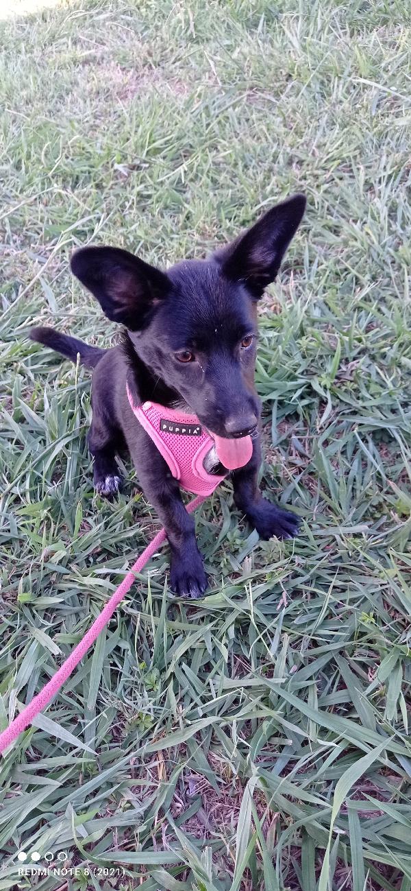 Taglia piccola π Foto 6