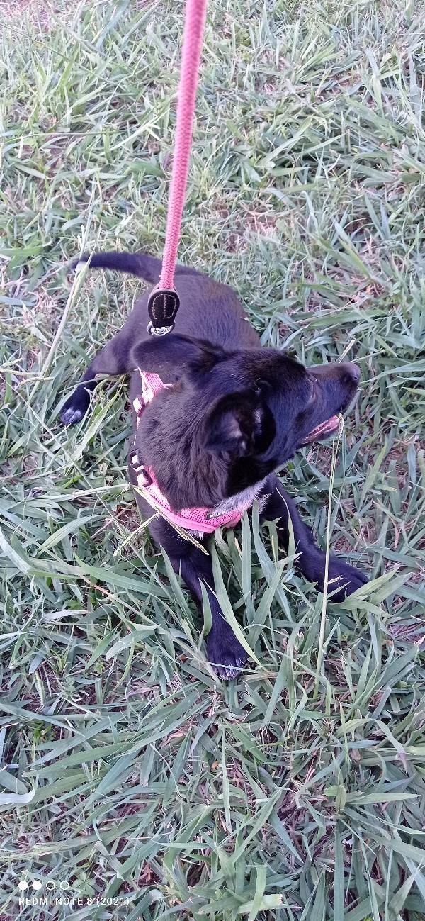 Taglia piccola π Foto 7