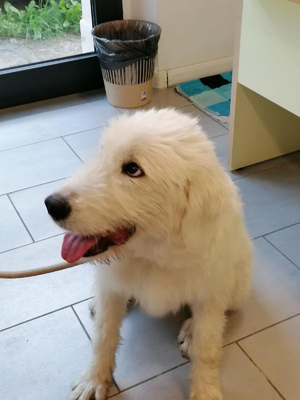 BELLA 💗 1 ANNO Foto 2