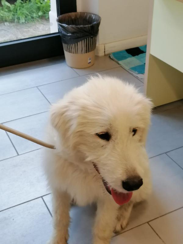 BELLA 💗 1 ANNO Foto 3