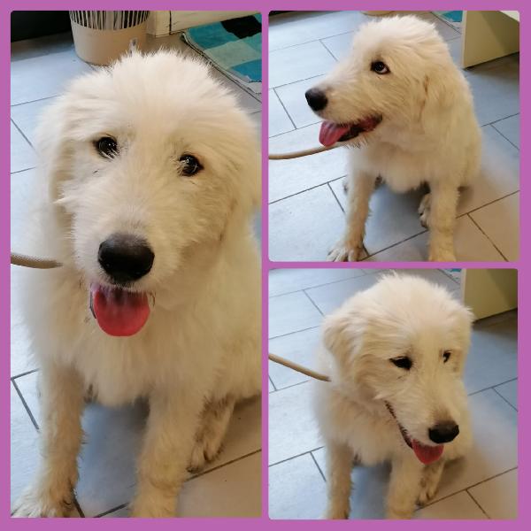 BELLA 💗 1 ANNO Foto 4