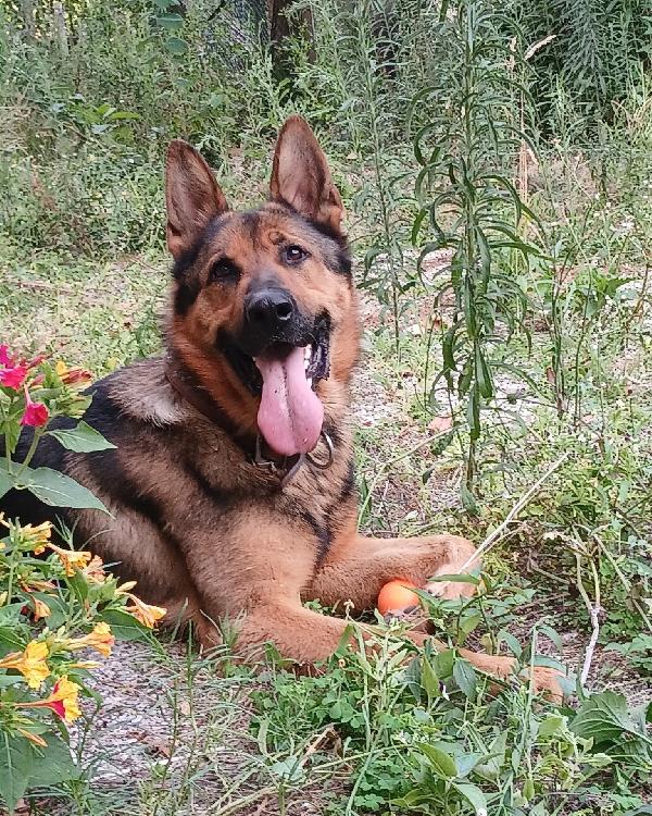 Ricky,3 Anni.facciamo Presto! 