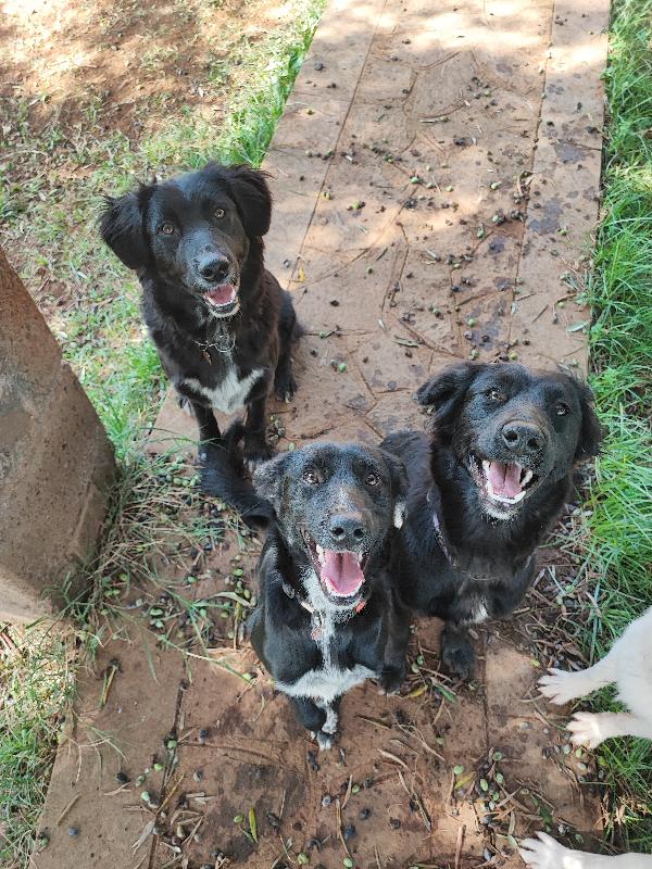 3 Sorelline... Senza Parole 💕