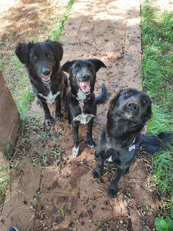 3 sorelline... Senza parole 💕 Foto 2