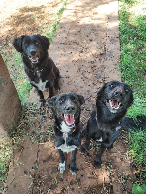 3 sorelline... Senza parole 💕 Foto 3