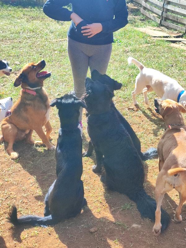 3 sorelline... Senza parole 💕 Foto 4