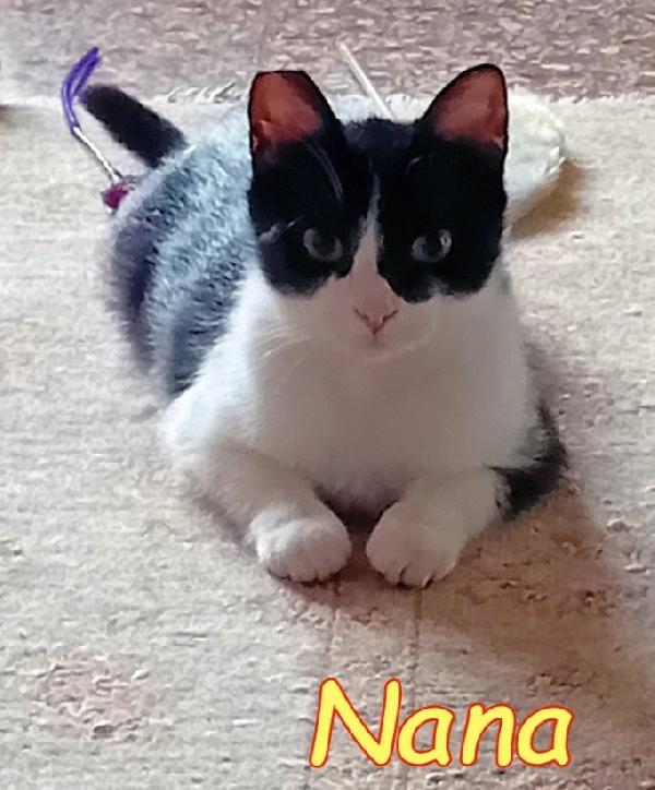 Nana'micia 15mesi rimasta sola ROMA Foto 2