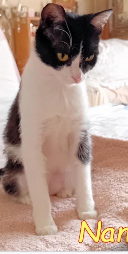 Nana'micia 15mesi rimasta sola ROMA Foto 3