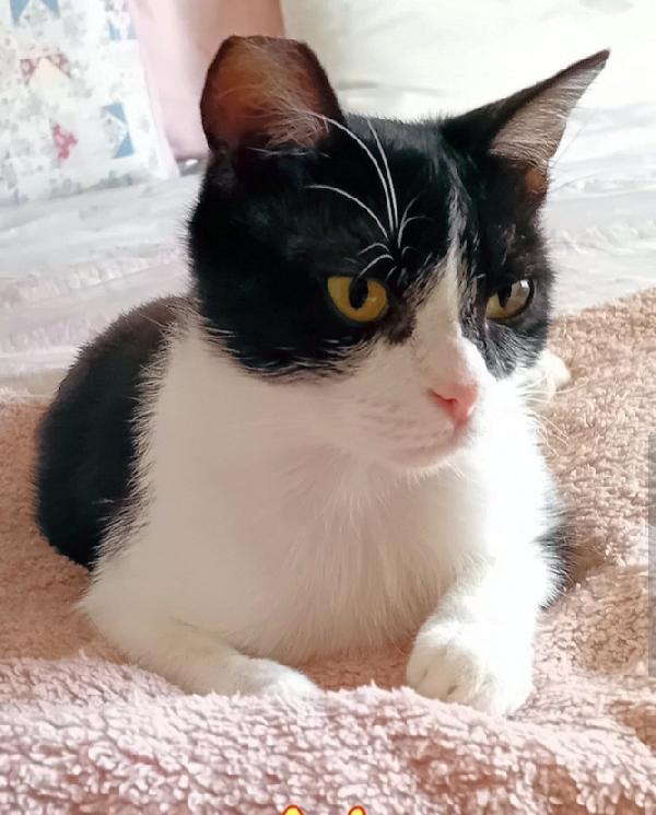 Nana'micia 15mesi rimasta sola ROMA Foto 4