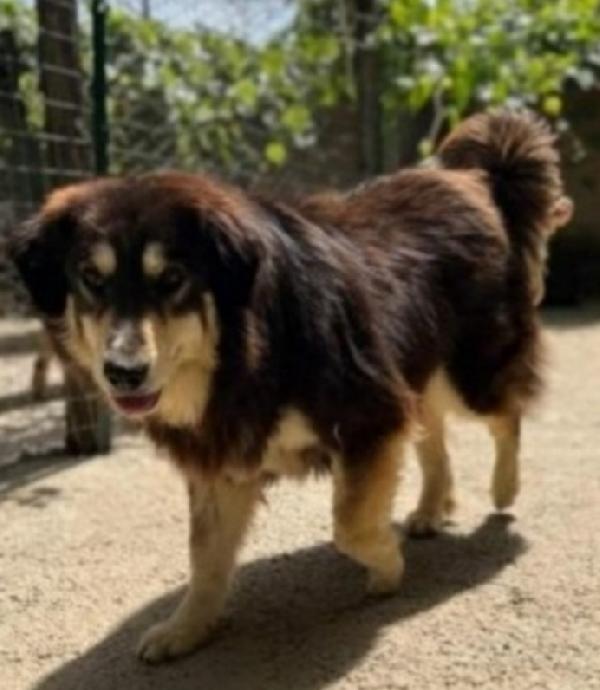 Lady 5Anni Tolta Da 1Lager Tre Anni Fa Roma