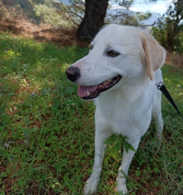 Fratello/sorella 4anni tg media belli e buoni.CALABRIA Foto 5