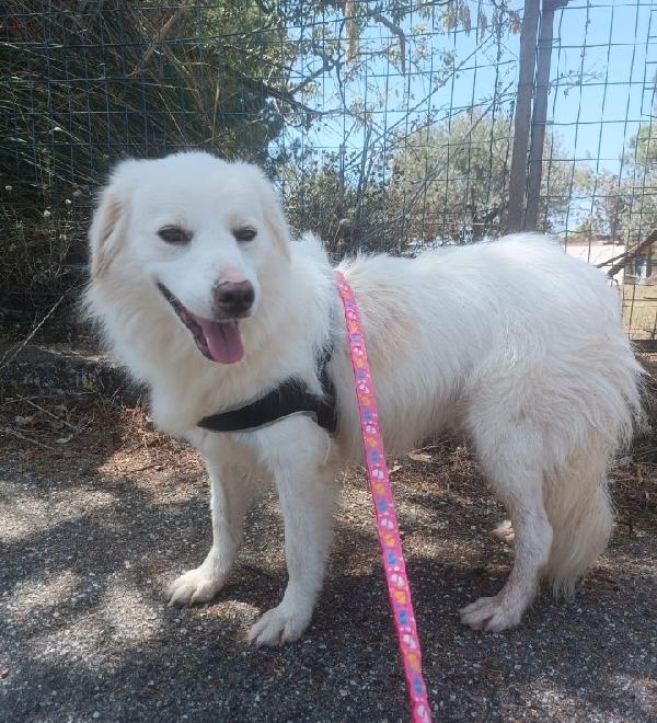Fratello/sorella 4anni tg media belli e buoni.CALABRIA Foto 6