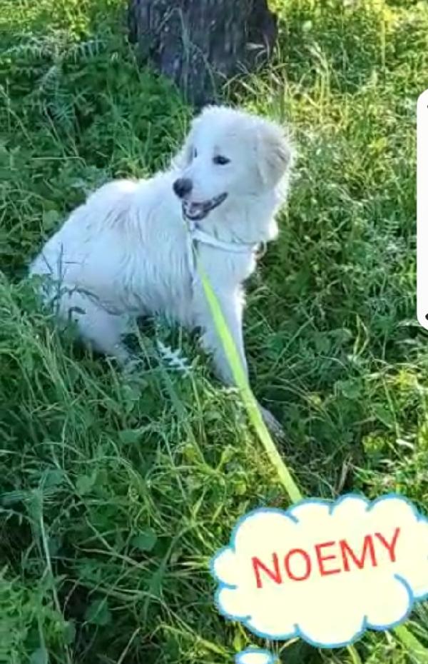 Fratello/sorella 4anni tg media belli e buoni.CALABRIA Foto 7