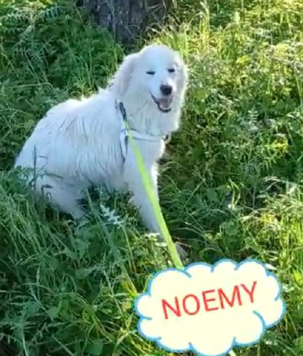 Fratello/sorella 4anni tg media belli e buoni.CALABRIA Foto 8