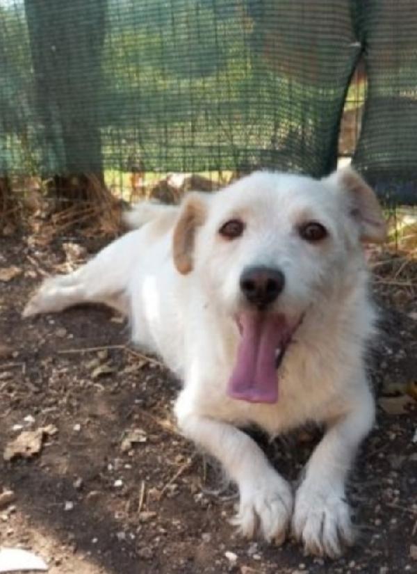 Milo Mix Jack 10Anni Tg Piccola Abruzzo