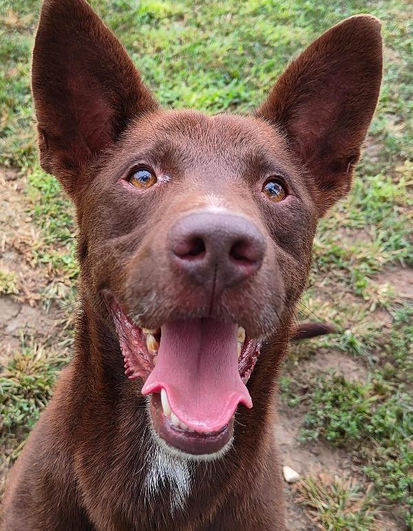 Aron cerca casa  Foto 2