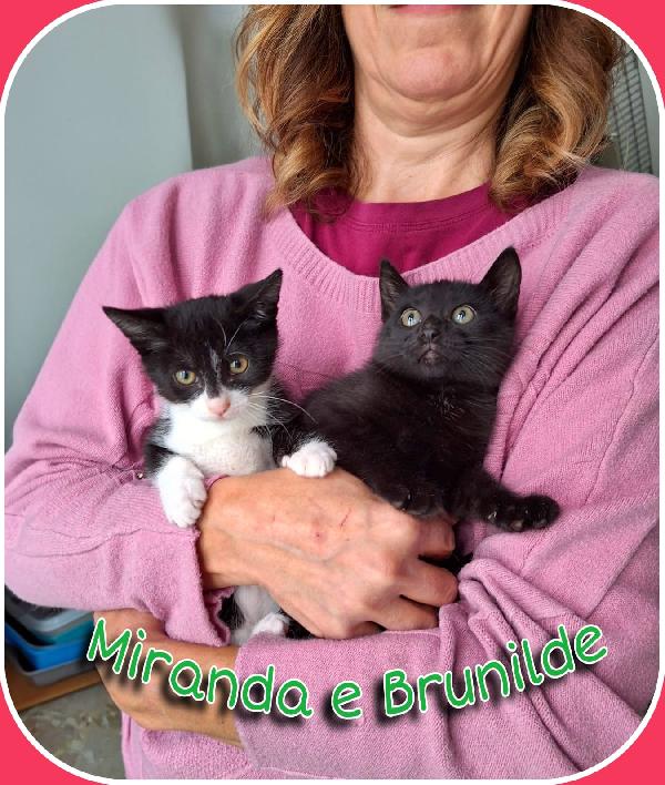 Brunilde E Miranda:two Is Megl Che One