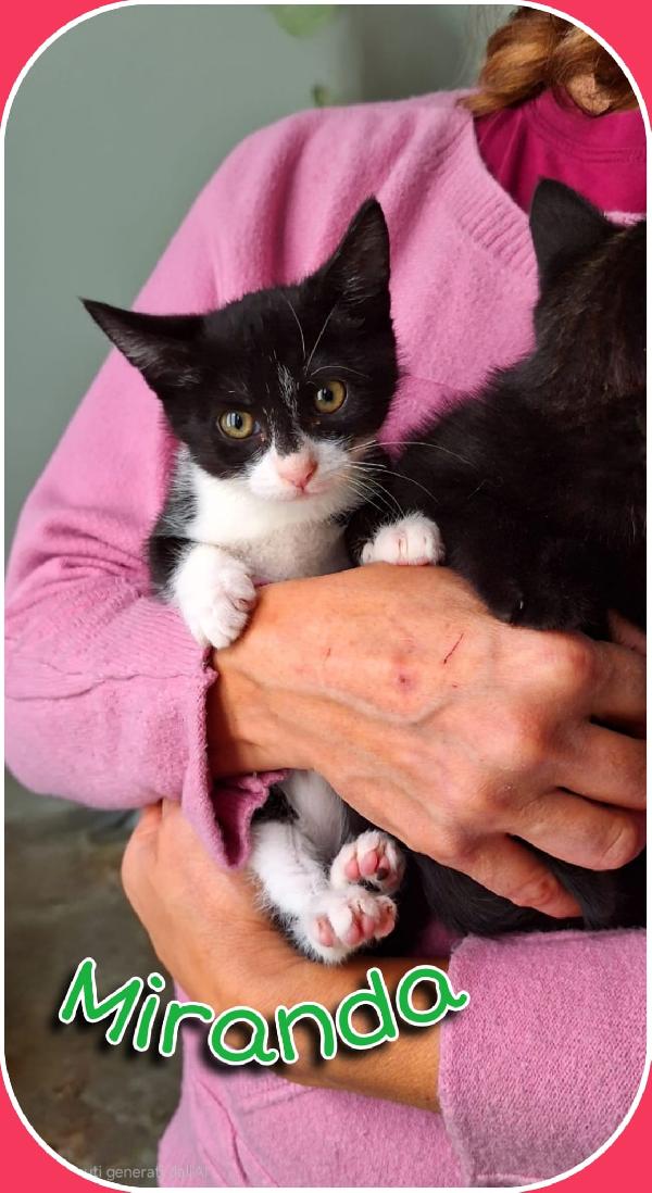 BRUNILDE E MIRANDA:TWO IS MEGL CHE ONE Foto 4