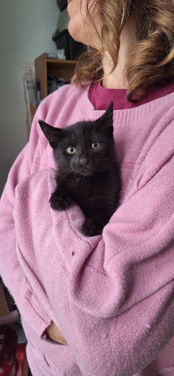 BRUNILDE E MIRANDA:TWO IS MEGL CHE ONE Foto 5