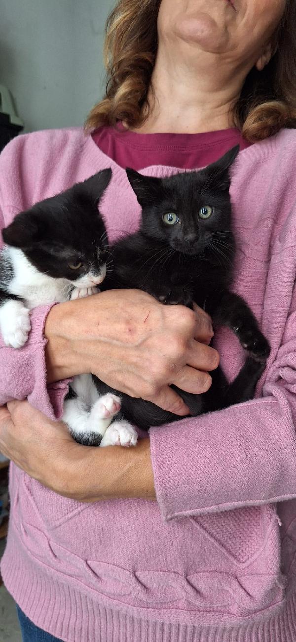 BRUNILDE E MIRANDA:TWO IS MEGL CHE ONE Foto 6