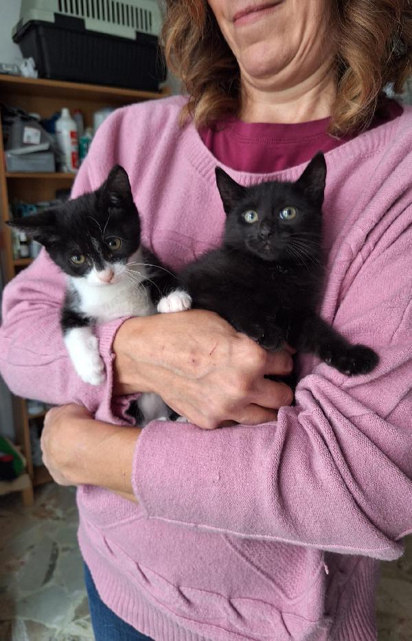 BRUNILDE E MIRANDA:TWO IS MEGL CHE ONE Foto 7