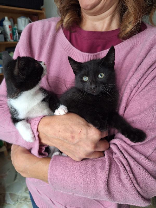 BRUNILDE E MIRANDA:TWO IS MEGL CHE ONE Foto 8