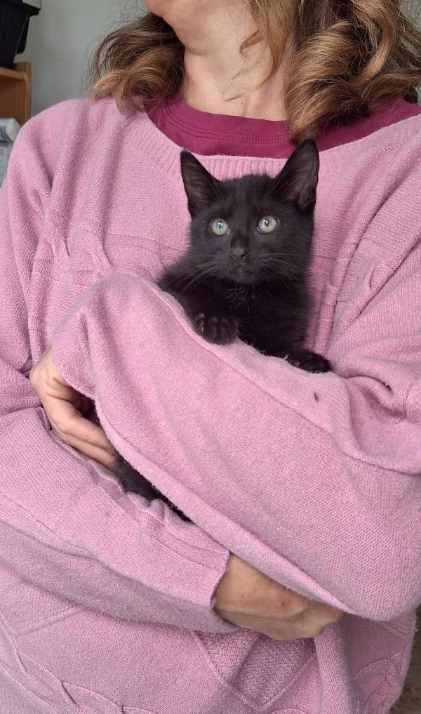 BRUNILDE E MIRANDA:TWO IS MEGL CHE ONE Foto 10