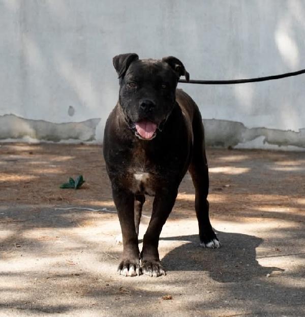 Freud Un Nonnino Da Coccolare 