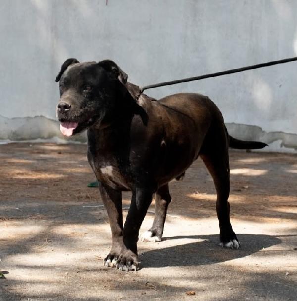 Freud un nonnino da coccolare  Foto 2