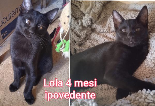 SUPERTENERI MICINI!!! Foto 4