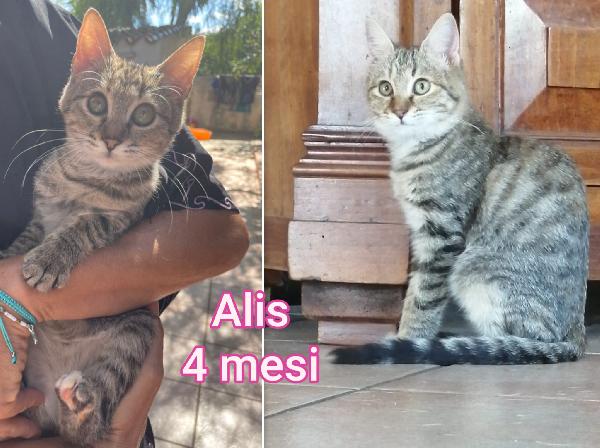 SUPERTENERI MICINI!!! Foto 6