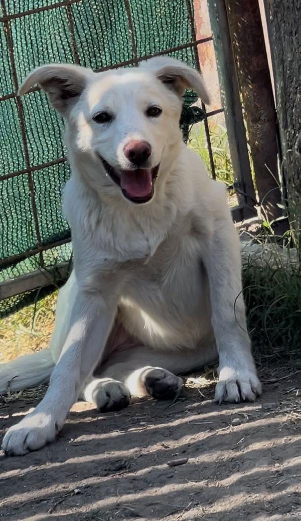 ZOOMY🩷 TG MEDIO PICCOLA Foto 4